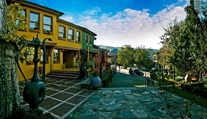 Bursa